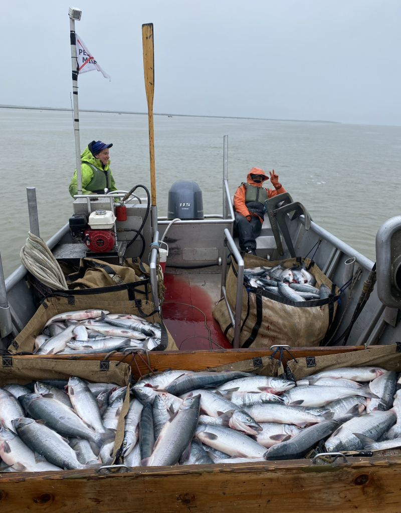 A pile of fish appear in the foreground of a photo of two people in a boat on a body of water.